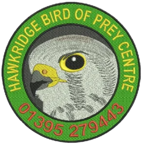 Hawkridge Bird of Prey Centre